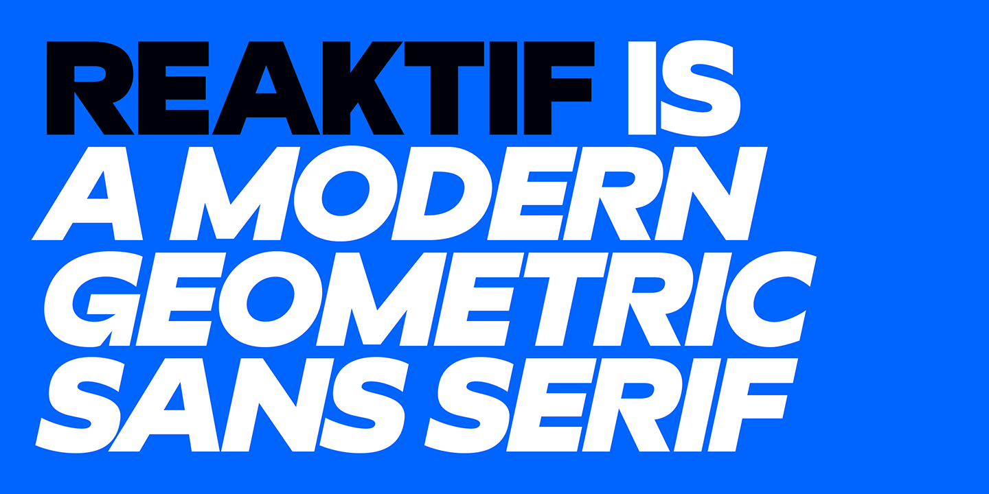 Reaktif Extra Bold Italic Font preview